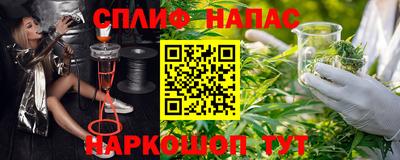 шишки Бузулук