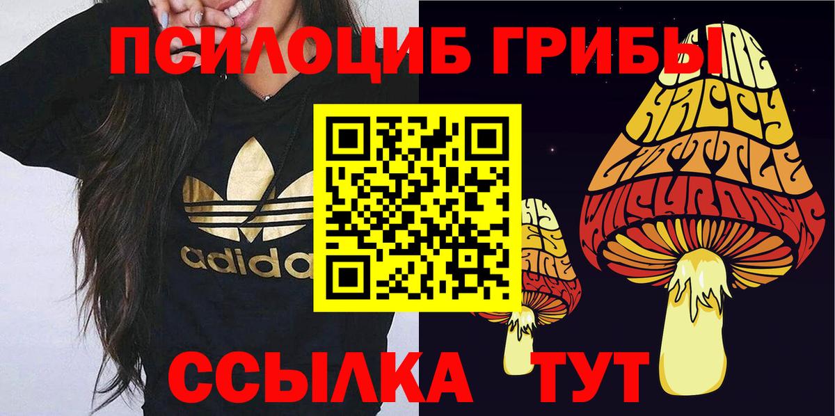 Галлюциногенные грибы мухоморы Ульяновск