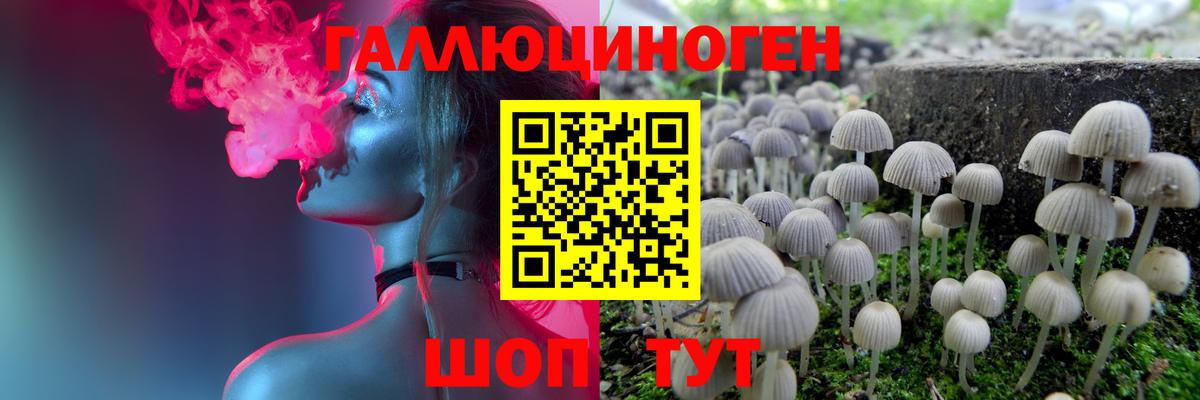 Ульяновск  Галлюциногенные грибы MAGIC MUSHROOMS  Вход с VPN 